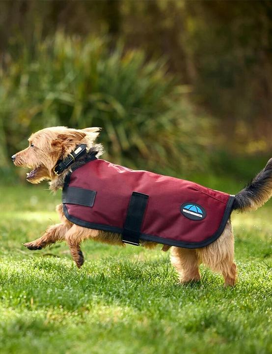 Produktbild Weatherbeeta Comfitec Classic (Hundemantel)