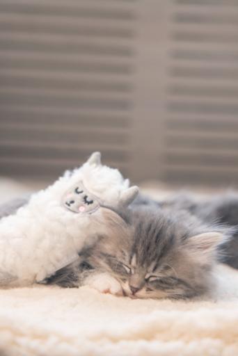 Actual product image Beeztees Kitten Toy Lama (Catmint toy)
