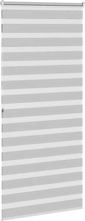 Produktbild vidaXL Zebra-Jalousie (100 x 200 cm)