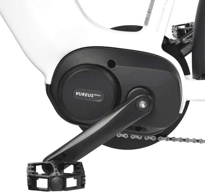 Actual product image AureusDrive DailyDrive S, sand, high top tube, men, chain