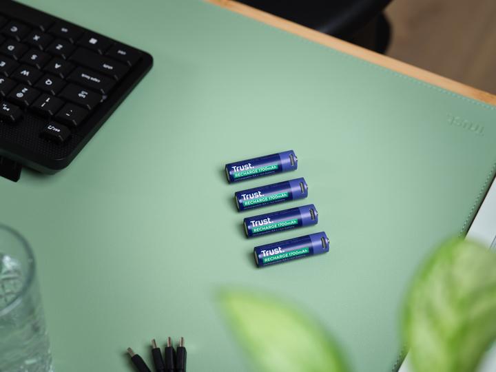 Actual product image Trust USB-C Rechargeable Batteries 4p (4 pcs., AA, 1700 mAh)