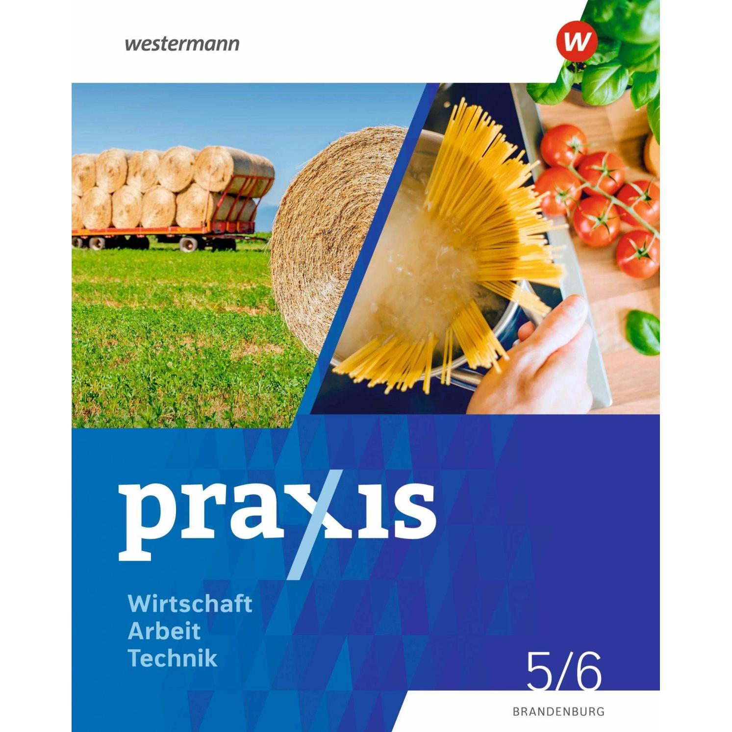 Praxis - WAT 5. / 6. Schuljahr. Schülerband. Brandenburg, Schulbücher von Axel Stefan, Helmut Nicklas, Jutta Barfuss
