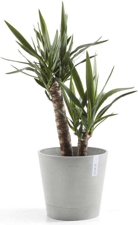 Produktbild Ecopots Venice (40 x 35 cm)