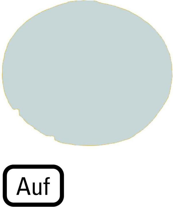 Actual product image Eaton Key lens