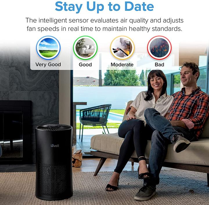 Actual product image Levoit Air purifier with air quality sensor, black (41 m²)