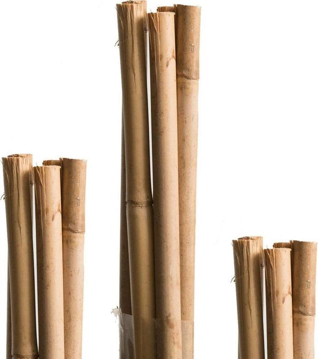 Immagine prodotto Windhager Bambussplitstäbe (40 cm, 0.30 cm)