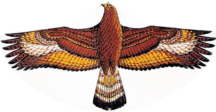 Produktbild Günther Flugspiele Steinadler
