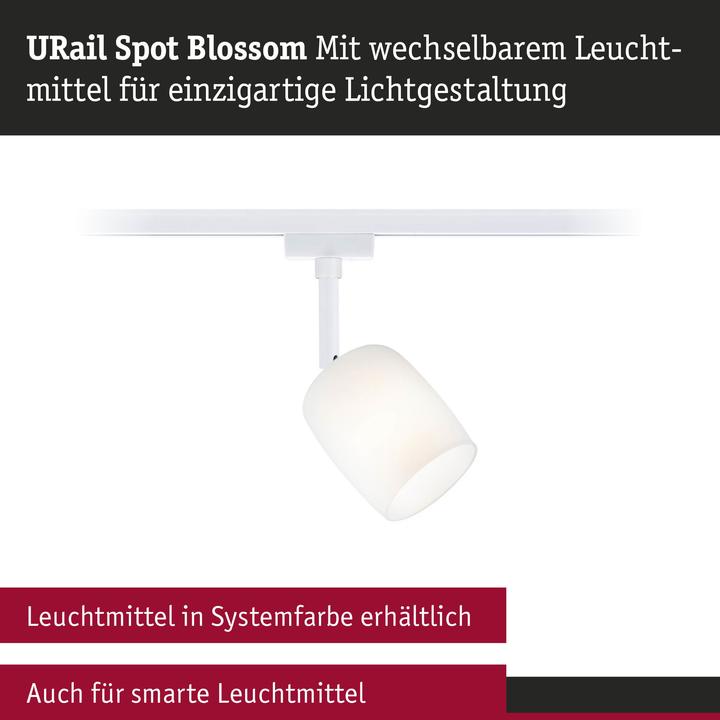 Produktbild Paulmann URail Spot Blossom (G9, 1x)