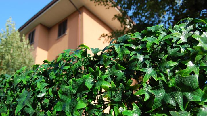 Produktbild Tenax Divy 3D Panel Helix (100 cm)