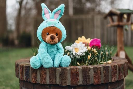 Image du produit Beeztees Jouet en peluche Tulipe (Jouet en peluche chien)