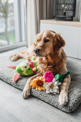 Image du produit Beeztees Jouet en peluche Tulipe (Jouet en peluche chien)