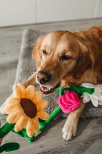 Image du produit Beeztees Jouet en peluche Tulipe (Jouet en peluche chien)