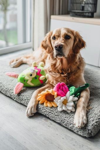 Image du produit Beeztees Jouet en peluche Tulipe (Jouet en peluche chien)