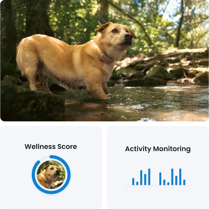 Immagine prodotto Tractive GPS Tracker Dog 6 (Cane)