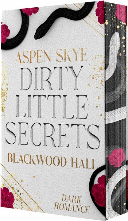 Dirty Little Secrets (Deutsch, Skye Aspen, 2025)
