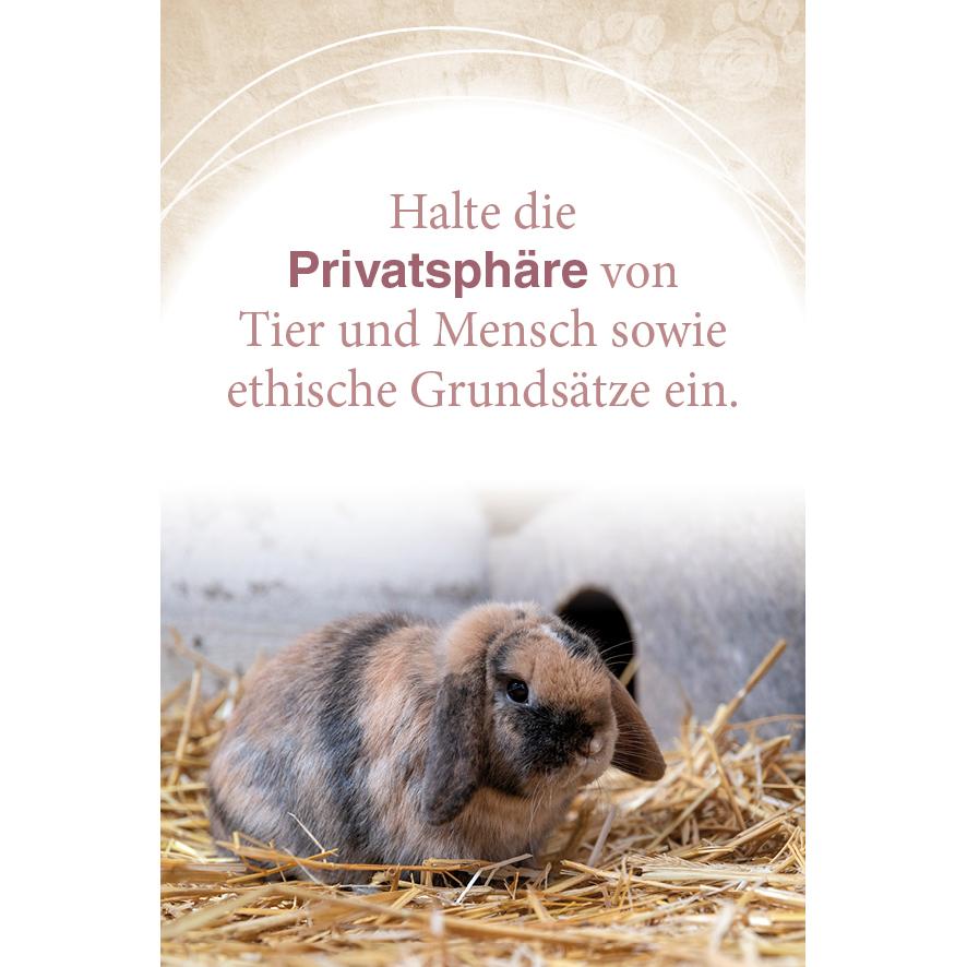 Thumbnail - Mit Tieren kommunizieren, Ratgeber von Abbas Schirmohammadi, Christiane Krieg