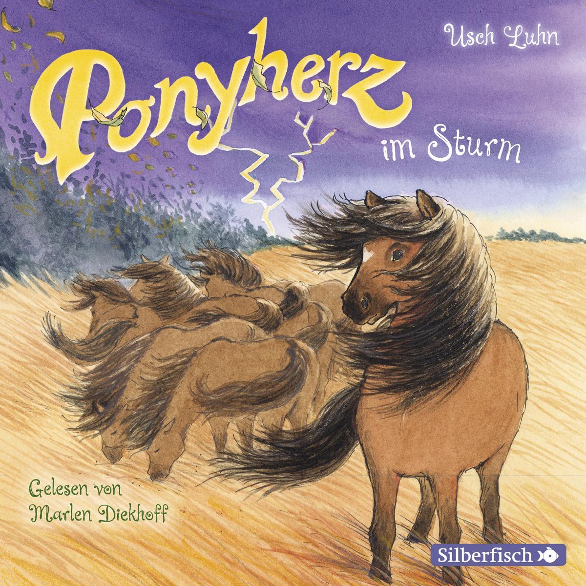 Thumbnail - Ponyherz im Sturm, Hörbücher von Usch Luhn