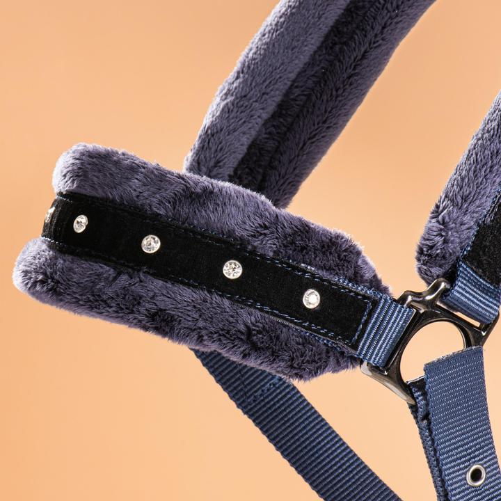 Produktbild Fouganza Halfterset Pferd/Pony mit Fuehrstrick Polypropylen