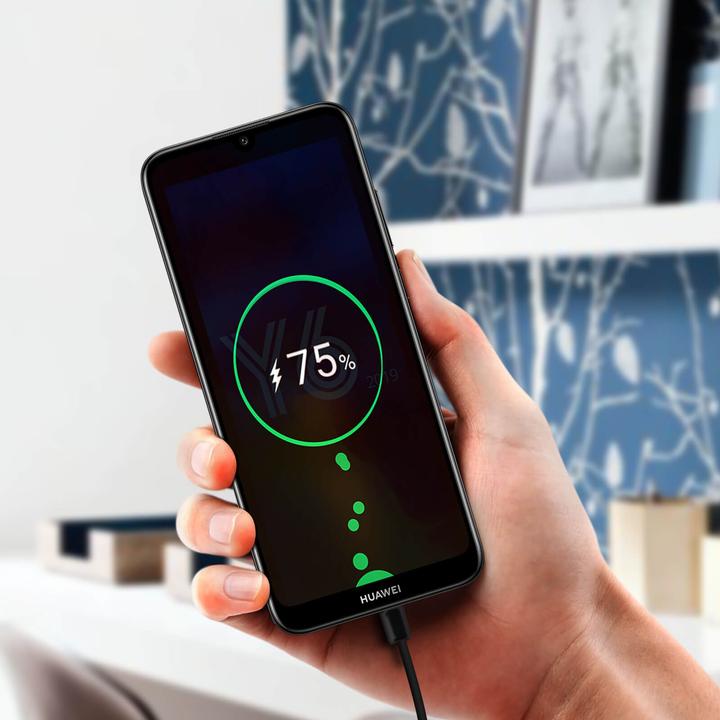 Immagine prodotto Clappio Huawei Y6 2019 / Y6S Scheda Madre Cavo Flex (Huawei Y6 (2019))