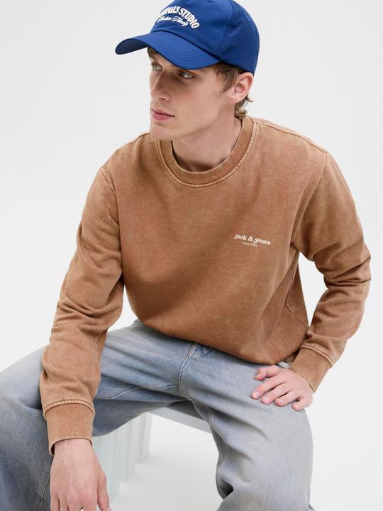 Produktbild Jack & Jones Jjedover Print Sweat Crew Neck (M)