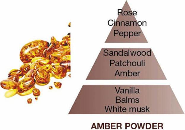 Actual product image Maison Berger Duft Poussiere d'ambre (500 ml)
