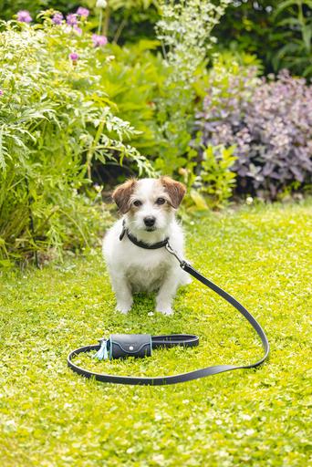 Produktbild Beeztees BZ BALACRON LEINE AX BRN 100X1 (100, Hund, Hundesport)