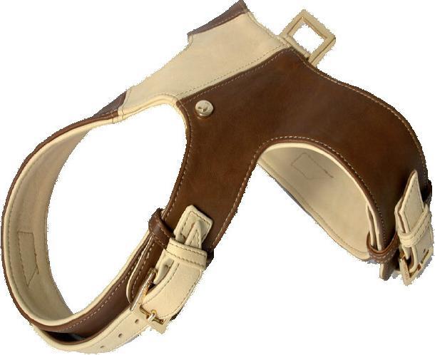Produktbild Arka Hundegeschirr (Hund, Spazieren)