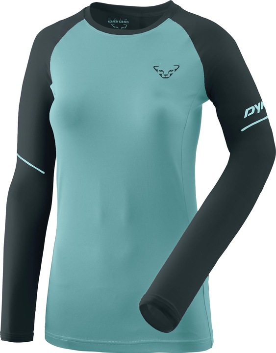 Produktbild Dynafit Alpine Pro Langarmshirt (40)