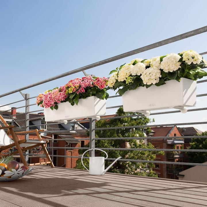 Productafbeelding Lechuza BALCONERA Color 40 (40 x 19 x 19 cm)