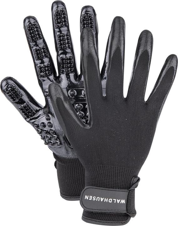 Horse grooming supplies