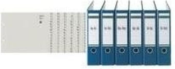 Actual product image Leitz Register paper gray