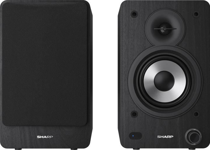 Actual product image Sharp CP-SS30 (1 pair, 60 W)