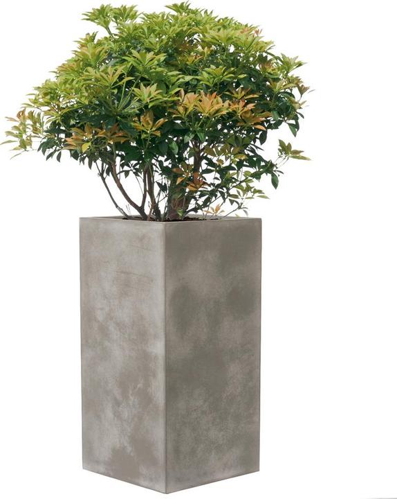 Produktbild Kirschke Pureline (37 cm)