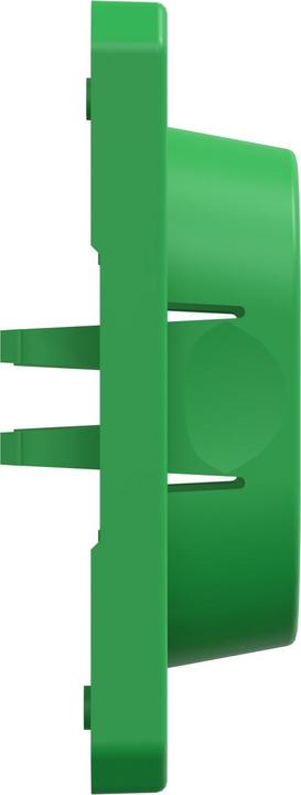 Produktbild Schneider Electric Schmutzabdeckung für Schalter und Steckdosen, grün