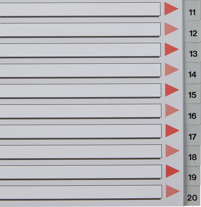 Produktbild Esselte Plastikregister