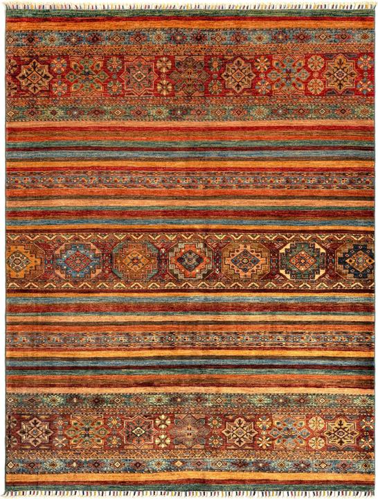 Image du produit Vidal Torkman (175 x 231 cm)