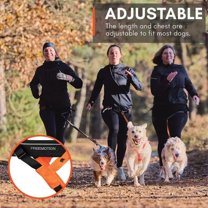 Image du produit Non-Stop Dogwear Harnais Freemotion 5.0 (S, Chien)