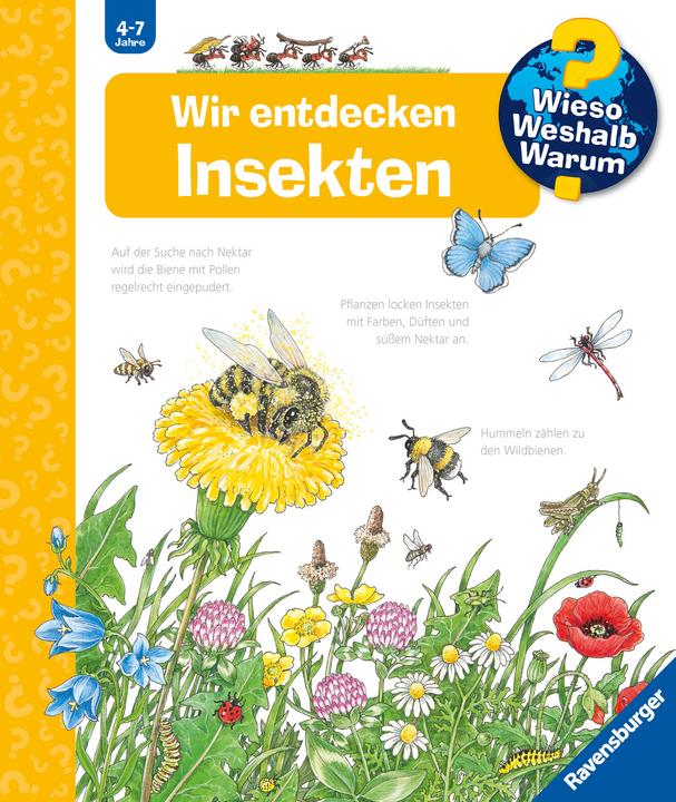 Produktbild Ravensburger Wir entdecken Insekten (Deutsch, Angela Weinhold, 2020)