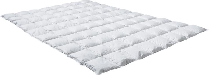 Image du produit Erwin Müller Montreal (450 g, Duvet, 200 x 240 cm)