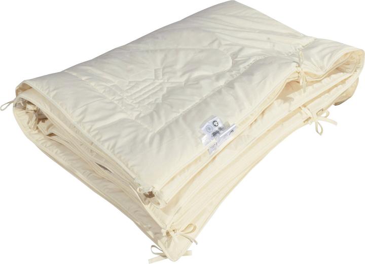 Actual product image Erwin Müller Bio Hanf (1200 g, 200x200 cm)