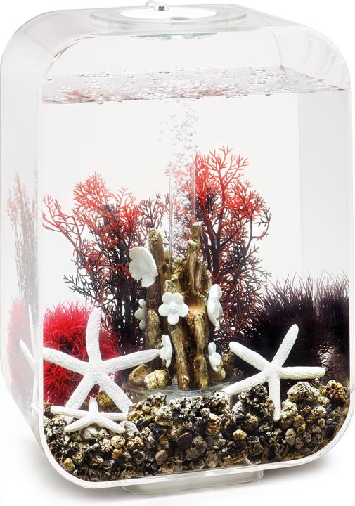 Productafbeelding Oase biOrb Aquarium 15 Decoratieset (Decoratie, Andere objecten)