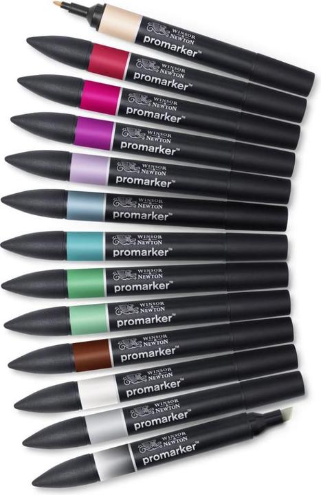 Immagine prodotto Winsor & Newton 884955070666 (Blu, Grigio, Beige, Marrone, Pink, Rosso, Verde, Viola, 13 x)