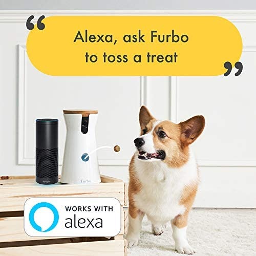 Produktbild Furbo Haustierkamera mit Leckerli Ausgabe