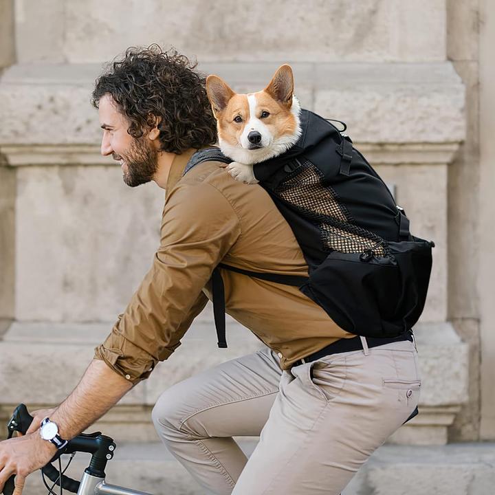 Immagine prodotto Galatée Zaino porta cani (Cane, Traspirante)