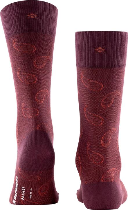 Actual product image Falke Paisley SO (40 - 46)