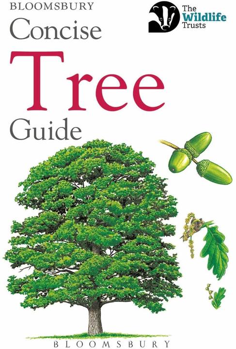 Produktbild Concise Tree Guide (Englisch, Bloomsbury, 2018)
