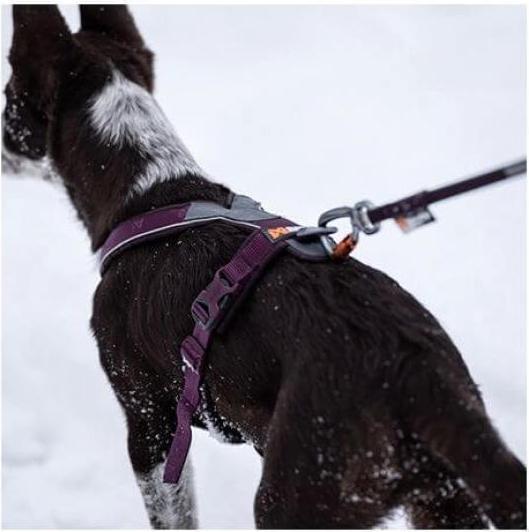 Image du produit Non-Stop Dogwear Harnais de ligne 5.0 Lila 1 (1, Chien, Vélo, Général, Promenade, Sport canin, Travail)