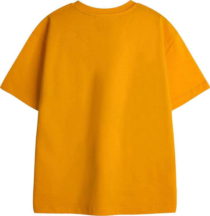 Immagine prodotto Pokémon Tshirt (158, 164)