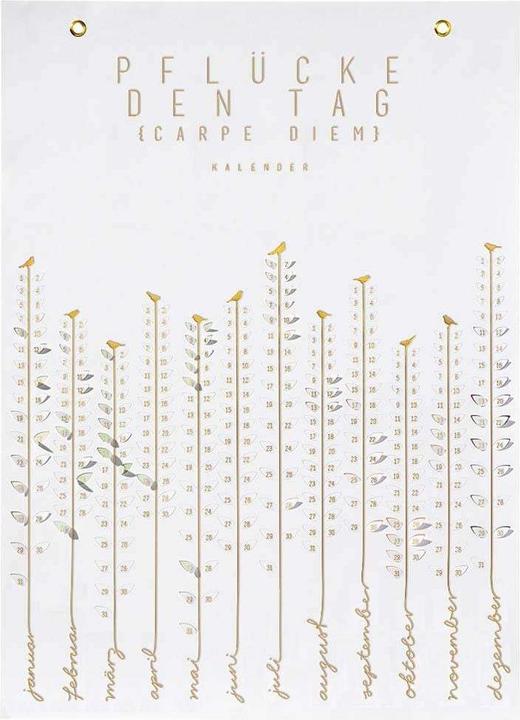 Produktbild Räder Pflück mich Kalender "Carpe Diem"