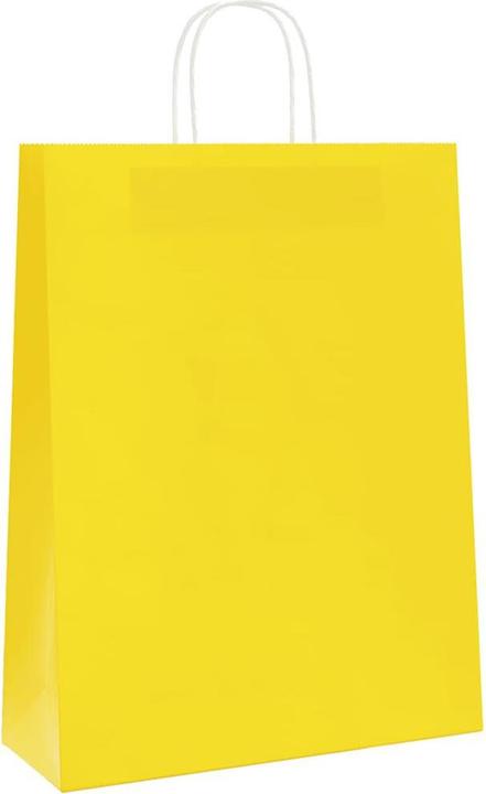 Image du produit vidaXL Papiertragetasche (250x)